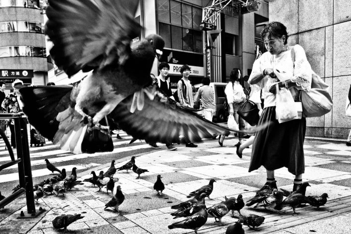 Japanese woman in Tokyo feeds pigeons with bread, one pigeon is close up. Street photography by victor borst